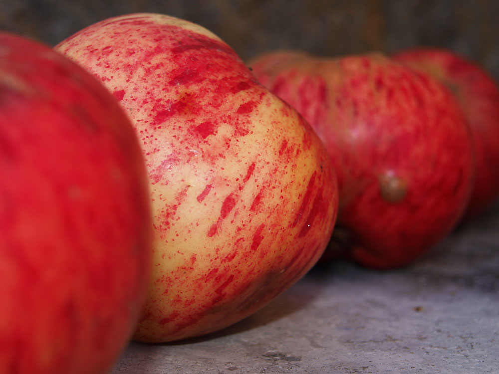 Aromen und Geschmäcker der alten Sorten - Schwäbischen ObstArche